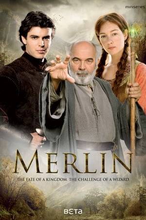 At 50, Merlin—the greatest magician in the kingdom— would like nothing more than to retire to the woods and live in peace. But with the arrival of the fairy Viviane and young Lancelot, Merlin's plans are derailed.