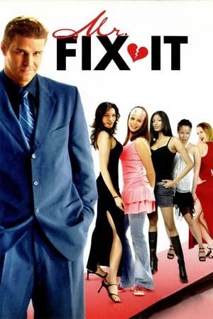 Lance Valenteen (David Boreanaz) makes a living as "Mr. Fix It," a man who gets hired by men that have just recently been dumped by their girlfriend. Lance dates the guys' ex-girlfriend and becomes the worst date possible, sending the girl back into her ex-boyfriends arms. But when Lance gets hired by Bill Smith (Pat Healy) to get Sophia Fiori (Alana De La Garza) back, Lance, for the first time, starts falling for one of his marks.