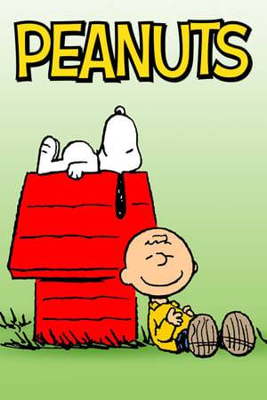 The successful comic strip Peanuts, by Charles M. Schulz, was adapted into animated specials since 1965, most of them released on television.