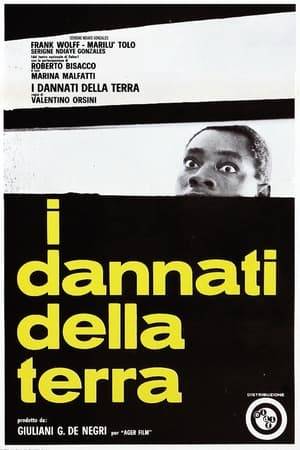 Upon his death, a young African director, Abramo Malonga, bequeathed his first and last unfinished film to his former teacher, the Italian director Fausto Morelli. Morelli, who after seeing the work, is confronted with a confusing, complex and, in part, incomprehensible work. Helped by the young widow of Abramo Malonga and by the notes left by his deceased friend, and again by his personal memories, the Italian director attempts to reconstruct and complete the film. Fausto's work progresses with difficulty, not only because of the problems the film poses for him, but because of the problems that arise in his daily life. After a long crisis, after which he returns to Pisa with his former party companions and abandons himself to love and his own solitude, Fausto takes up the work of his African friend, closing it with a final invention, in which , with a bold metaphor, has refigured the human condition of our time.