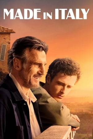 A bohemian artist travels from London to Italy with his estranged son to sell the house they inherited from his late wife.