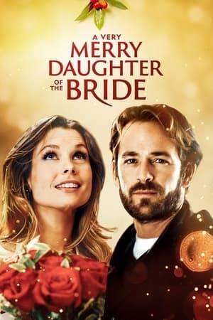 A wedding planner looks to persuade her mother not to marry a man she's only known for a brief period of time, until an unexpected development forces her to re-examine her feelings.