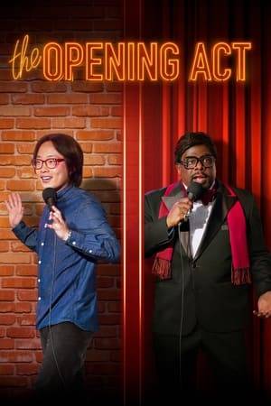 The film follows Will Chu whose true life passion is to become a stand-up comedian. He is given the opportunity to emcee a comedy show, opening for his hero, Billy G. Chu has to decide if he wants to continue the life he has set up or to pursue his dream, the life of a comedian.