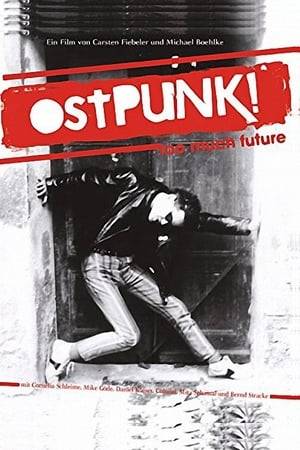 Tells the story of punk in the GDR.
