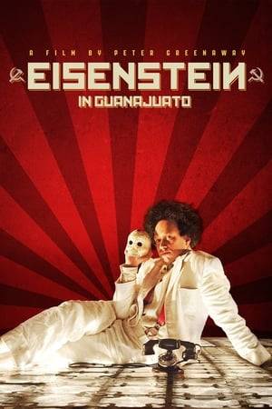 In 1931, following the success of the film Battleship Potemkin, Soviet filmmaker Sergei Eisenstein travels to the city of Guanajuato, Mexico, to shoot a new film. Freshly rejected by Hollywood, Eisenstein soon falls under Mexico’s spell. Chaperoned by his guide Palomino Cañedo, the director opens up to his suppressed fears as he embraces a new world of sensual pleasures and possibilities that will shape the future of his art.