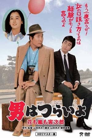 Tora-san gets into an argument with his uncle and sets out on the road again. In Kyushu he meets a young woman named Keiko and the shy zoologist Saburō, and attempts to play matchmaker between the two when they all return to Tokyo.