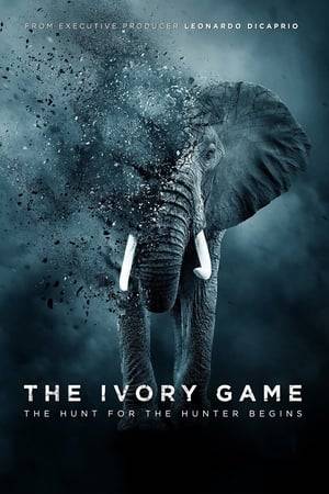 Wildlife activists and investigators put their lives on the line to battle the illegal African ivory trade, in this suspenseful on-the-ground documentary.