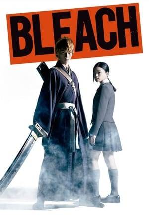 High school student Ichigo Kurosaki lives an ordinary life, besides being able to see ghosts and the blurry memories of his mother's death under strange circumstances when he was a kid. His peaceful world suddenly breaks as he meets Rukia Kuchiki, a God of Death.