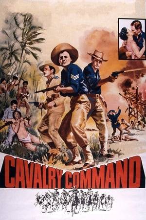 An American cavalry brigade is sent to occupy a small Filipino village in 1902 and quell guerilla resistance in the surrounding jungle. Working with the people to build roads, schools, and bridges, they prove that the most important thing an army can have is "good will and integrity."