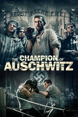 It is 1940. The first transport of prisoners arrives at the newly created concentration camp Auschwitz. One of them is Tadeusz “Teddy” Pietrzykowski, pre-war boxing champion of Warsaw. The camp officers force him to fight in the ring for his and other prisoners’ lives. However, his every win strengthens the hope that Nazis are not invincible. Auschwitz officers notice the growing resistance. The confrontation with the authorities of the camp becomes inevitable.