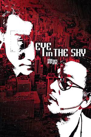 The head of an elite Hong Kong surveillance unit keeps one eye on his rookie apprentice and the other on a notorious criminal he suspects of masterminding a recent jewel heist in this tense thriller from filmmaking duo Johnnie To and Nai-Hoi Yau. Of course, the criminal knows all along he's being watched. But that doesn't stop him from trying to pull off the biggest score of his career.