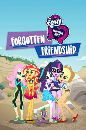 The story follows Sunset Shimmer, who (using her powers) finds out that her friends' memories of her have been mysteriously erased, resulting in them getting amnesia. Determined to set things straight, she'll need Princess Twilight's help from Equestria in order to find out the source of what caused her friends' memory loss.