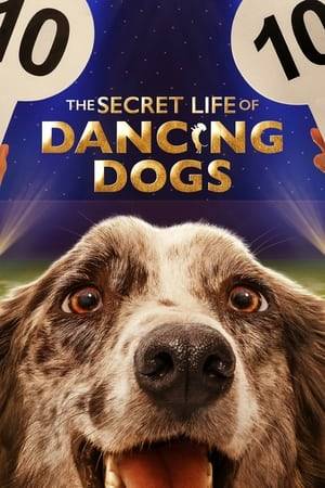 This documentary series that follows a group of handlers and their canine coworkers as they prepare canine-human performances for the Crufts dog show in England, the biggest dog show in the world. Hoping to win the judges' approval, the heroes leap, pirouette, and hop. This is a comical and uplifting story about a dog dancing that shows that all people have a star within themselves; sometimes all that is needed is a canine companion to bring it out.