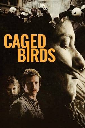 Barbara Hug is a young radical lawyer fighting Switzerland's antiquated prison system in the 1980s. Walter Stürm is in and often escaping out of jail becoming known as the Jailbreak King. When the two meet an unlikely alliance is formed.