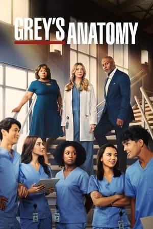 Follows the personal and professional lives of a group of doctors at Seattle’s Grey Sloan Memorial Hospital.