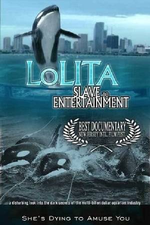 The grassroots independent documentary about Miami's biggest performer, Lolita the killer whale on display at the Miami Seaquarium. Through rare interviews and undercover footage viewers are dragged into the dark secrets of the multi-billion-dollar marine theme park industry and the life of Lolita who's been caught in a net of lies for 3 decades.