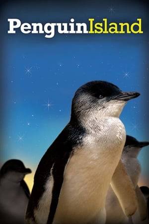 Follows the penguins of Phillip Island, and the team of rangers and scientists who monitor and protect them.