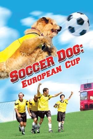 Soccer Dog: European Cup opens with the titular hero, Kimble, escaping the clutches of an evil scientist, bent on performing animal experiments. Our plucky canine hero then falls into the hands of Zack (Jake Thomas), an American boy who's been brought to Scotland after the death of his mother to be reunited with the father he never knew, Brian (Nick Moran). After a bumpy introduction, father and son eventually connect by playing soccer together, and when the unusually nimble Kimble storms onto the field one day, their lives change forever.
