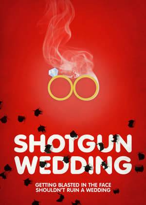 After Robert, a marrying-up groom, 'accidentally' shoots his fiance's Maid of Honor in the face during a drunken skeet-shooting session, his meddling mother does whatever it takes to ensure the wedding takes place.