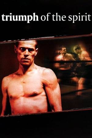 During World War II, Salamo Arouch, a passionate boxer, is arrested and sent to a concentration camp. Soon, he is forced to box against his fellow prisoners for the sake of entertainment.