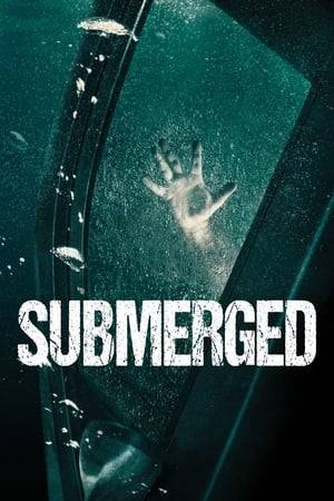 A limo ride turns hellish as several kidnappers set their sights on the young people inside.