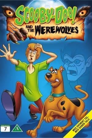 DVD compilation of three werewolf-themed episodes from various Scooby-Doo series; Scooby-Doo, Where Are You!: Who's Afraid of the Big Bad Werewolf, Scooby-Doo and Scrappy-Doo: Where's the Werewolf, and  A Pup Named Scooby-Doo: The Were-Doo of Doo Manor.