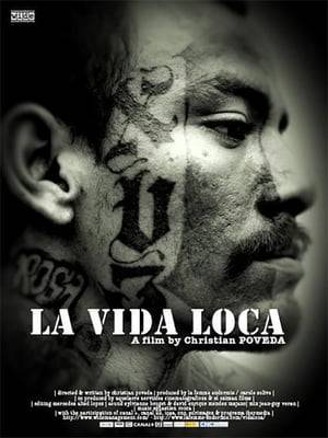 Reflects a depressing and hopeless reality by following some of the members of "la dieciocho", the so-called 18th Street gang in a poor San Salvador neighborhood.