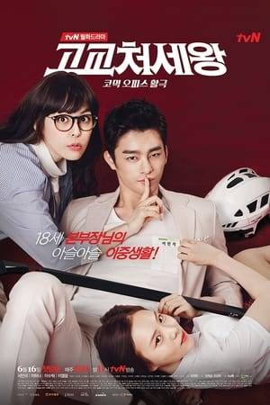 Lee Min Suk is just a normal high school hockey player - until he's forced to take his brother's place as the director for a major company. Now he's forced to balance school work, hockey practice, and making multi-million dollar decisions. No big deal?