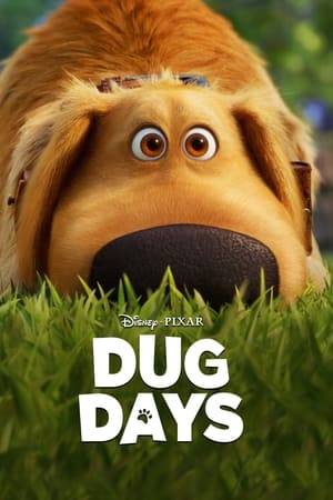 A series of shorts that follows the humorous misadventures of Dug, the lovable dog from Disney and Pixar’s “Up.” Each short features everyday events that occur in Dug's backyard, all through the exciting (and slightly distorted) eyes of our favorite talking dog.