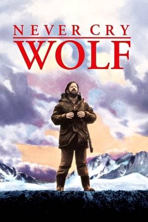 A scientific researcher, sent on a government study: The Lupus Project, must investigate the possible "menace" of wolves in the north. To do so, he must survive in the wilderness for six months on his own. In the course of these events, he learns about the true beneficial and positive nature of the wolf species.