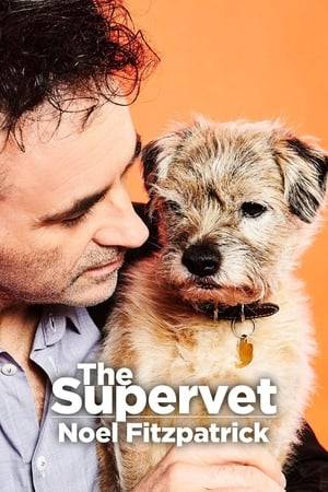Dr. Noel Fitzpatrick is one of England's top veterinarians. "Supervet" showcases Fitzpatrick and his staff treating hard-to-cure ailments with innovative care and surgical techniques. The program gives the often-emotional stories of pets, owners and the passionate team that pushes boundaries of medicine to save animals from life-threatening conditions. Nicknamed the Bionic Vet, Fitzpatrick employs more than 100 people at his neurosurgery/orthopedic clinic in Surrey, England.