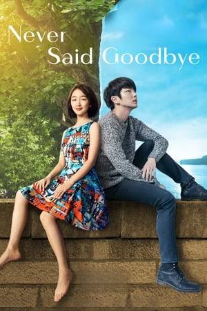 Junhao declares to go to Sicily to learn opera and ends the relationship with his fiancée, Xiaoyou. In disbelief, she determines to learn the truth behind his sudden decision. Lee Joon-gi has teamed up with Lin for his first Chinese film.