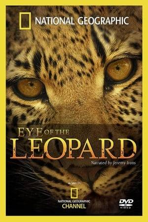 Eye of the Leopard follows the remarkable life of one small leopard from when she is just 8 days old every step of the way until she is 3 years old and on the brink of adulthood. Legadema, as she is named, works her way into your heart as she slips in and out of danger virtually every day, running from baboons and hyenas but also making landmark strides in hunting and surviving. Narrated by Jeremy Irons it is the story of a mother and daughter relationship as well as that of an emerging huntress in Botswana’s magnificent Mombo region of the Okavango Delta.