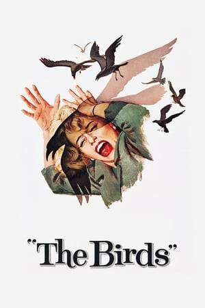 Thousands of birds flock into a seaside town and terrorize the residents in a series of deadly attacks.
