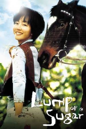 The daughter of a poor rancher, Si-eun's only hope is to one day, become a jockey. With her mother passing away at her birth, her favorite horse, Chun-doong, has become not only her friend, but also a soul mate. She is devastated when Chun-doong is sold to another owner, but when they are reunited two years later they have a chance to create a miracle by teaming up in a race.