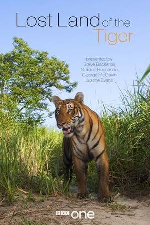 Documentary following a team of big cat experts and wildlife filmmakers as they embark upon a dramatic expedition searching for tigers hidden in the Himalayan Kingdom of Bhutan.