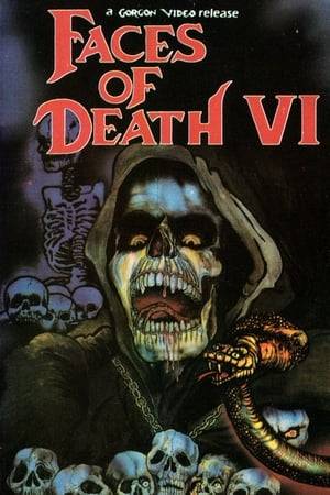 A direct-to-video compilation of the highlights of the earlier films in the Faces of Death series.