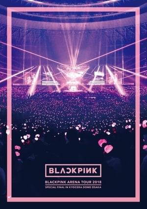 BLACKPINK in Kyocera Dome! The K-pop girl group had eight shows in three cities for their 2018 Japan arena tour, and became the first overseas girl group to hold a concert at Osaka's Kyocera Dome on December 24. A 50,000-strong audience filled the dome on Christmas Eve to see the girls perform fierce hits like Boombayah, Whistle and DDU-DU-DDU-DU and special solo stages.