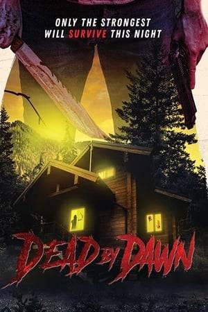A suicidal man in a remote cabin is suddenly faced with protecting a kidnapped woman from three sexual deviants and their sadistic games.
