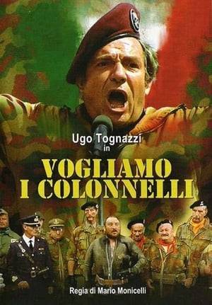 Italy 1973. Giuseppe Tritoni (Ugo Tognazzi) is an ultra-right-wing congressman that doesn't agree anymore with his fascist party policy. He contacts many Italian Army officers and built a net of relationship in order to organize a Coup d'Etat (Golpe). Something goes wrong and the Interior Minister (Home Secretary) Mr. Li Masi (Lino Pugliesi) got the all information about the attempted Golpe. So the Minister organizes a counter-Golpe. Tritoni desperately, to save his project, kidnaps the Italian Republic President (Claude Dauphin) that immediately dies for heartache. Now Minister Mr. Li Masi is free to lay down the law to the rest of the country, realizing basically the actual Golpe! Tritoni surrenders and will spend rest of his time trying to sell his ideas about managing Golpe in Africa!