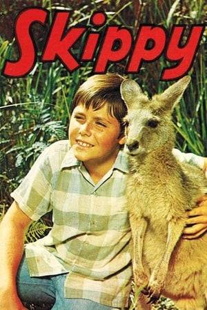 Skippy the Bush Kangaroo is an Australian television series telling the adventures of a young boy and his intelligent pet kangaroo, and the various visitors to the fictional Waratah National Park in Duffys Forest, near Sydney, New South Wales.