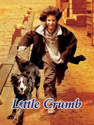 The film is based on the popular Dutch childrens book by Chris van Abkoude. In a Dutch port in 1921 lives a 10-year-old orphan boy known to everyone simply as Little Crumb. His poverty-stricken mother Lize van Dien filled with shame was forced to turn him over to Mrs. Koster soon after he was born. Foster mother Mrs. Koster, who has cared for him since he was a baby, is very poor too, unable to support him by herself and proves to be a cruel taskmaster who insists Crumb bring her money before shell feed him. Somehow he must earn his keep out on the streets and can only go home after he has earned enough money. Crumb becomes an urchin stealing from the streets barrows and the shops to stay alive, sleeping in churches or huddled in doorways. Sometimes he has to run off from the police and he has earned the enmity of the most grownups around him.