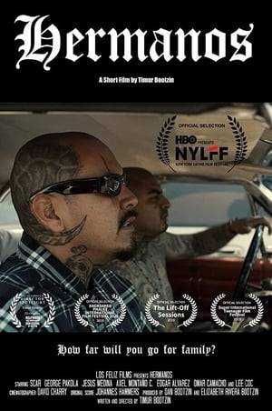 "Hermanos" is the story of Juan and Mateo, two childhood friends whose older brothers are leaders of rival Latino street gangs. It's about the struggle to maintain a friendship while staying loyal to family in an unforgiving neighborhood.