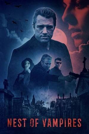 An MI5 agent who travels from London to rural England in search of the people who murdered his wife and kidnapped his only daughter. During his investigation, he uncovers a ruthless vampiric cult that is heavily embroiled in human trafficking and Satanic cult worship.