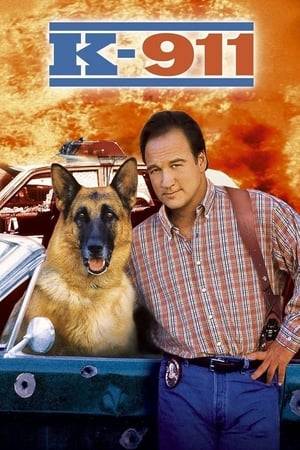 LAPD detective Mike Dooley and his dog, the German Shepherd Jerry Lee, have been successfully partnered for ten years, but Jerry’s advancing age has Dooley’s superiors suggesting retirement and  they are forced to work with a younger K-9 team: female cop Sergeant Welles and her disciplined Doberman Zeus.