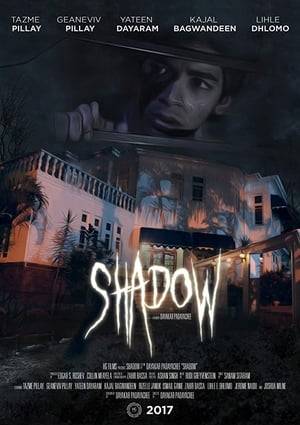 A gay teenager is haunted by a shadowy presence while his parents are getting a divorce, he can't seem to convey his emotions to his best friend or make his family listen. His world is turned upside down when the shadow reveals to him a darker secret his family keeps to him.