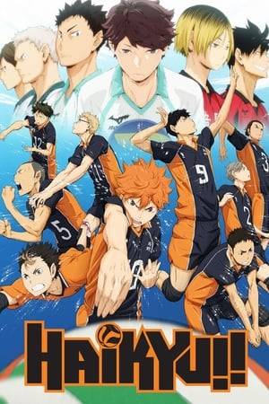Inspired by a small-statured pro volleyball player, Shouyou Hinata creates a volleyball team in his last year of middle school. Unfortunately the team is matched up against the "King of the Court" Tobio Kageyama's team in their first tournament and inevitably lose. After the crushing defeat, Hinata vows to surpass Kageyama. After entering high school, Hinata joins the volleyball team only to find that Tobio has also joined.