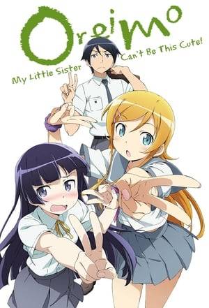 Oreimo follows the daily life of an ordinary high school boy named Kyousuke Kousaka. Kyousuke’s younger sister Kirino is a pretty fashion model, but also hides a dark secret of being an otaku of adult games. Kyousuke is the only person to whom Kirino reveals her hidden obsession and other issues.