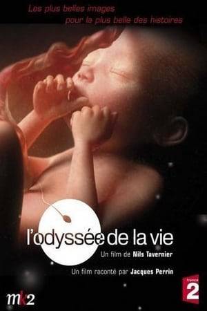 A documentary on the nine months of pregnancy, from conception to the birth of a human being, alternating computer graphics and interviews with a young couple.