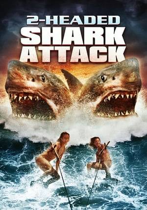 A Semester at Sea ship is attacked and sunk by a mutated two-headed shark, and the survivors seek refuge on a deserted atoll. The coeds, however, are no longer safe when the atoll starts flooding.